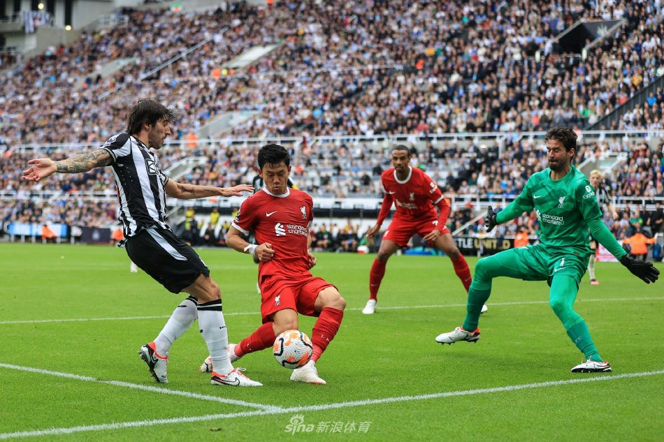 造了属于自 造了属于自